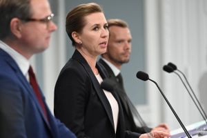 Regeringen lægger med sit udspil "Danmark kan mere II" op til, at de danske husejere skal gøres fri naturgas. 
