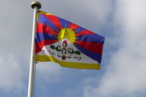 Via blandt andet retsdokumenter og klagesager hos DUP, Den Uafhængige Politiklagemyndighed, har Jyllands-Posten samlet en række episoder, hvor politifolk har fået og udført ordrer om eksempelvis at fratage demonstranter tibetanske flag, ligesom en Tibet-aktivist blev truet med anholdelse, hvis hun viste sig langs præsidentens rute. Foto: Kim Agersten