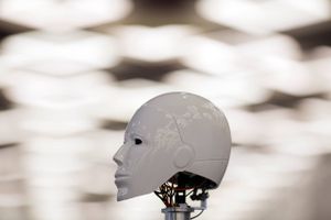 Det japanske venturekapitalfirma Deep Knowledge vakte en vis opsigt, da det for to år siden udpegede en computerrobot , kaldet ”Vital”, til medlem af bestyrelsen. Den er dog ikke lige så dekorativ som robotten på billedet. Foto: AP/Ng Han Guan