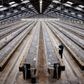 Stort set alle danske minkfarme er nu tømt for dyr. Dermed forsvinder den sektor, som de seneste 10 år har været den mest velindtjenende og solide i dansk landbrug.