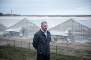 De danske cannabisproducenter har investeret formuer i drivhuse og produktionsudstyr, men efter mere end to års indsats er det endnu ikke lykkedes at sælge så meget som et gram.