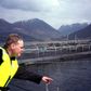 Lakseopdræt er en stor forretning i Norge. Her ses et anlæg drevet af Marine Harvest.