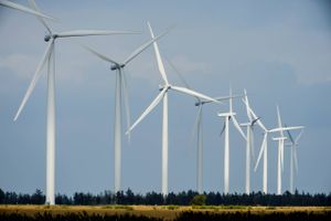Et mangelfuldt tysk elnet og negative afregningspriser til vindmølleejere var sidste år med til at spilde store mængder vindstrøm, viser en ny opgørelse fra Energinet.