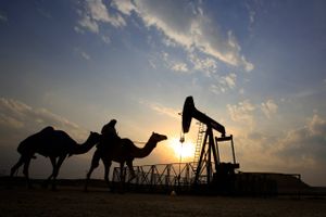 Opec olieproduktion ligger for tiden på rekordhøje 33,5 mio. tdr. i døgnet, og endnu tør ingen sige, om organisationen vil være i stand til at sænke produktionen med op til én mio. tdr. i døgnet. Foto: AP/Hasan Jamali 
