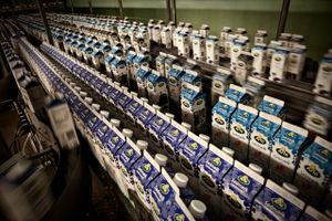 Flere år med elendig økonomi hos landmændene får produktionen af mælk til at stagnere. Da mælkekvoterne blev afskaffet i 2015, ventede Arla ellers, at produktionen ville stige 1,2 mia. liter.