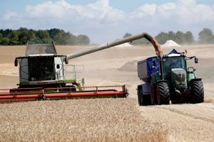 Prisen på korn har i dag taget et gevaldigt dyk nedad og er brudt gennem afgørende støtteniveauer. Ukraines comeback på verdensmarkedet har sammen med en stor høst trykket priserne nedad.