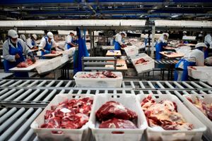 Ved et kontrolbesøg i december beslaglagde Fødevarestyrelsen 250 tons kød uden sporbarhed i et frysehus hos Skare Meat Packers i Vejen. Arkivfoto: Lars Skaaning