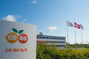 Co-Ro er en af Frederikssund største arbejdspladser. De fleste kender selskabet bedre, hvis man siger frys-selv isen Sun Lolly.