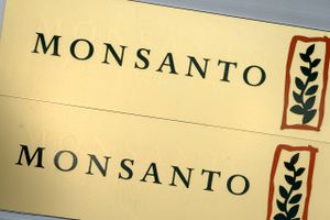 Monsanto-aktien indikeres 0,4 pct. højere i 116,71 dollar.