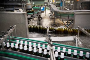 Royal Unibrew er dagens foreløbige højdespringer på fondsbørsen. Her ses bryggeriets produktion i Fakse. Foto: Gregers Tycho