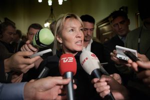 Ejendomsmilliardæren Mikael Goldschmidt har hentet den tidligere minister til sin bestyrelse, hvor den gennemsnitlige aflønning var 1,6 mio. kr. pr. medlem i fjor.
