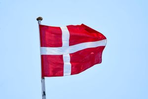 Trods markant tilbagegang for dansk økonomi i første kvartal venter økonom vækst for 2024 som helhed.