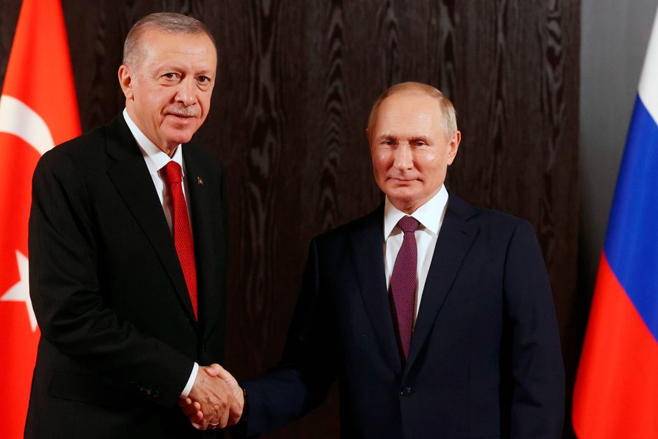 Erdogans opbakning til Putins forslag om at etablere en russisk gascentral i Tyrkiet kan give Kreml en bagdør til det europæiske marked. Det er i hvert fald, hvad den russiske præsident håber. Men Moskva har måske også andre motiver. 