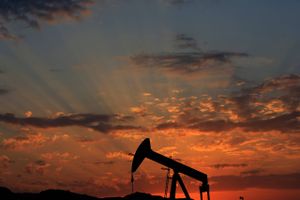Saudi-Arabien har over sommeren skruet olieproduktion yderligere i vejret og sætter dermed oliepriserne under pres. Foto: AP/Hasan Jamali