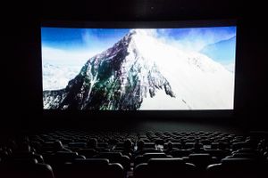 Cinemaxx Danmark oplever et lavere overskud i regnskabsåret 2017. De danske biografer har generelt oplevet nedgang i år, mener formand for brancheforening. 