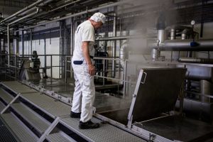 En stor del af virksomhedernes overskydende varme fosser i dag ud. i den blå luft. Den varme skal udnyttes bedre, mener Dansk Industri. Foto: Janus Engel