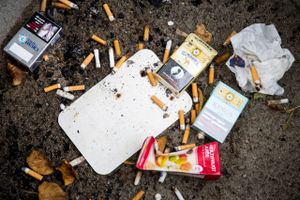 Verdens største tobaksgigant, Philip Morris, vil ruske gevaldigt op i det danske rygermarked med en tobak, der skal dampes i stedet for at ryges. 