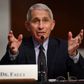 Den amerikanske regerings ledende rådgiver under coronakrisen, Anthony Fauci, siger ifølge CNN, at ingen vaccine ventes at kunne beskytte 100 procent mod virusset. Foto: Kevin Dietsch/Reuters