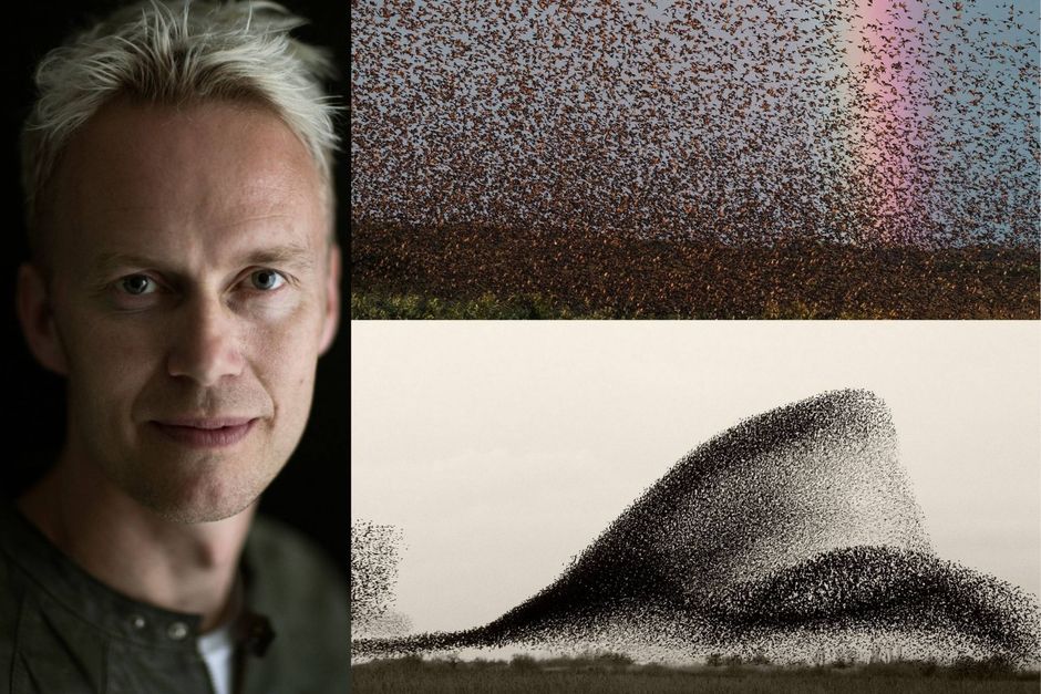Kunstmuseet Heart i Herning er gået online med en virtuel kunstudstilling, som fungerer bedre end godt, primært på grund af fotomediets styrker.