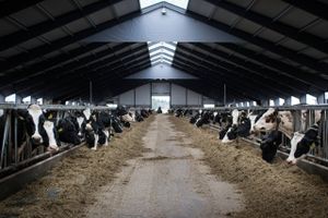 Bestyrelsesformand er tilfreds med, at den nye ejer af Them Andelsmejeri er blevet en kapitalfond.