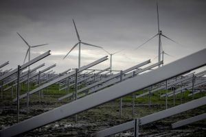 Dansk Energi og European Energy vil have skæringsdatoen for, hvornår producenter selv skal betale for at blive tilsluttet elnettet. Klimaminister Dan Jørgensen afviser.