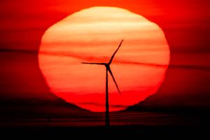 Sol og vind er drivkræfterne i den kraftige ekspansion af vedvarende energi i år, som sker på trods af nedlukningerne i foråret og den verdensøkonomiske recession. Foto: AP/Michael Probst
