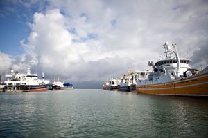 Flere af fiskekutterne i Hirtshals er proppet med fiskekvoter, og skibene kan værdisættes til knap 1 mia. kr af stykket. Foto: Gorm Olesen