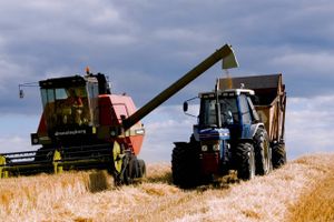Danske landmænd kan have krav på EU-støtte for arealer, der ikke bruges i driften.