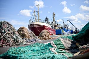 I Østersøen opererer fiskere fra forskellige EU-lande. En tysk miljøbeskyttelsesorganisation har forsøgt at få forbudt fiskeri med bundberørende metode i visse områder af farvandet. Foto:  Anita Graversen