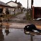SENSITIVE MATERIAL. THIS IMAGE MAY OFFEND OR DISTURB Servicemen walk past a body of a man, who according to residents was killed by Russian soldiers, lying down on the street, amid Russia's invasion on Ukraine, in Bucha, Ukraine, April 3, 2022. REUTERS/Zohra Bensemra