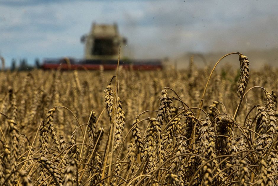 Aftalen, som sikrer forsyningerne af korn til verdensmarkedet, udløber i denne uge. Forhandlingerne om en forlængelse går nu ind den afgørende fase. Udfaldet kan få store konsekvenser på råvarebørserne. 