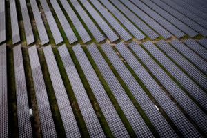 Det er blevet markant dyrere at opføre solcelleparker de seneste to år. Derfor er det ifølge førende udviklere ikke længere rentabelt at opføre mindre parker, og det frygter man kan spolere den folkelige opbakning til den grønne energi.