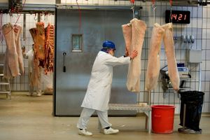 Fødevarestyrelsen har under et kontrol besøg fundet op til 12 år gammelt kød uden sporbarhed hos det danske kødselskab i Vejen. Modsat Salling Group fortsætter både Rema 1000 og Lidl handel med Skare Meat Packers.