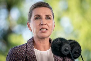 Minksagen er en politisk skandale, men det er ikke en skandale, at mink blev slået ihjel, siger statsminister.