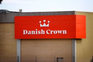 Akut mangel på grise får nu Danish Crown til at fremrykke lukningen af koncernens store slagteri i Nordjylland. Udenlandske opkøbere støvsuger Danmark for grise.