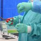 Sundhedspersonale undersøger en prøve for covid-19 hos en patient. Der er endnu stor mystik om den nye coronavirus' måde at angribe kroppen på, og flere forskerhold arbejder på at blive klogere på virussen. Foto: Angela Weiss / AFP