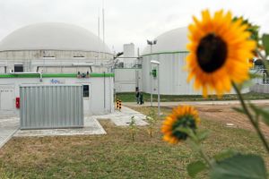 Regeringen kritiseres for at holde fast i støtte til biogas, selv om det er mindre effektivt end vindmøller.