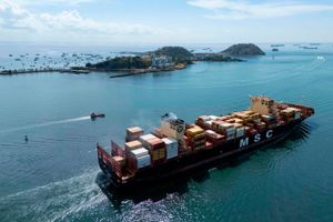 Verdens største rederi, MSC, har ifølge adskillige internationale medier fået to skibe beslaglagt af iranske styrker, efter de forsøgte at sejle igennem Hormuzstrædet.