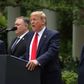 Præsident Trump annocerede, at Hong Kong nu vil miste sin særstatus på en pressekonference foran Det Hvide Hus fredag. Ud over det gav han ikke mange detaljer. Imens kom reaktionen prompte fra Kina. Foto: REUTERS/Jonathan Ernst/Ritzau Scanpix