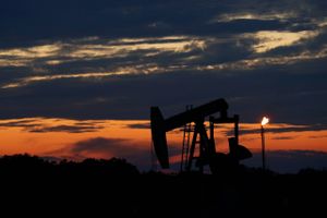 De ømmer sig i Texas dagen efter, at råolie blev handlet til ÷37,63 dollars pr. tønde. Foto: AP/Eric May