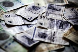 Danske kontanter, pengesedler, penge, sedler. Foto: Lærke Posselt