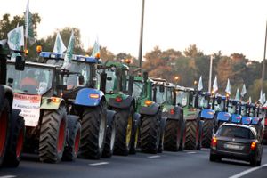 FINANS: EU's landbrugsministre samles mandag for at drøfte, hvordan landbrugskrisen skal håndteres.