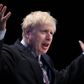Boris Johnson er valgt som nu konservativ formand. I morgen, onsdag, overtager han posten som premierminister efter Theresa May. Foto: Hannah McKayHANNAH MCKAY/Ritzau Scanpix)