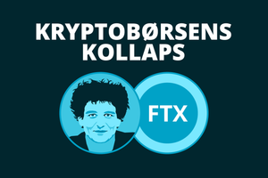 Ved at puste værdien af forskellige krypto-projekter op, kunne Sam Bankman-Fried ride på en bølge af succes med kryptobørsen FTX, der blev 230 mia. kr. værd. Men på fem dage gik det hele op i røg.