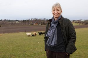 Portræt: Fra sin gård har Louise Køster, der er blevet forperson for Økologisk Landsforening, i 17 år drevet en mission om at lære danskerne om madens rejse fra jord til bord.