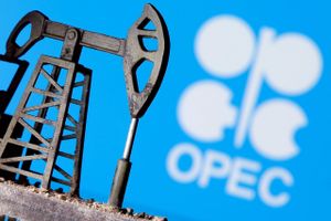 Der er en verden til forskel på en omstilling og en omlægning, men den virkelighed har alt for få regeringer forstået, mener OPEC. Foto: Reuters/Dado Ruvic