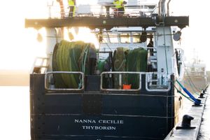 Regningen for brexitaftalen rammer mellemstore og mindre fiskere hårdere end kvotekongerne, der dog også vil tabe millioner. Brexit kan føre til ny regulering af dansk fiskeri.