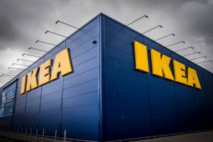 Som en konsekvens af energikrisen skruer Ikea Danmark nu ned for lys og varme, oplyser møbelkæden.