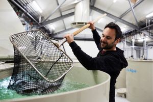Fiskefoderproducenten BioMar har store forventninger til markedet for landbaserede anlæg inden for fiskeopdræt. PR-foto.