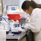 Tyskland, Frankrig, Italien og Holland har underskrevet en aftale med medicinalfirmet AstraZeneca om at garantere, at det vil forsyne EU med 300 millioner doser vaccine mod coronavirus. Foto: AP